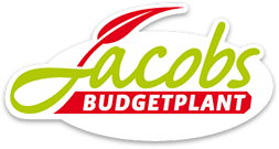 Snel en eenvoudig Bodembedekkers online kopen bij Budgetplant!